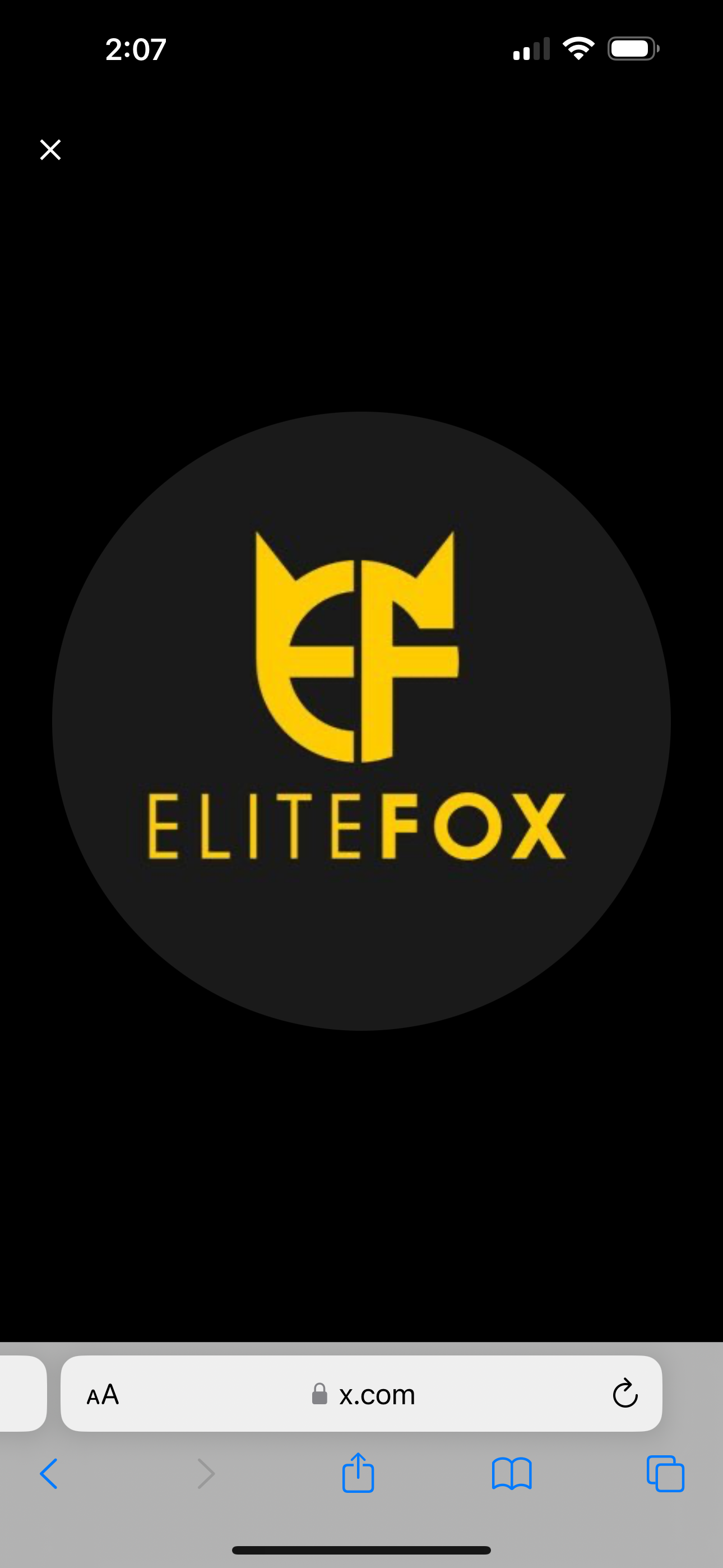 Clubelitefox profile
