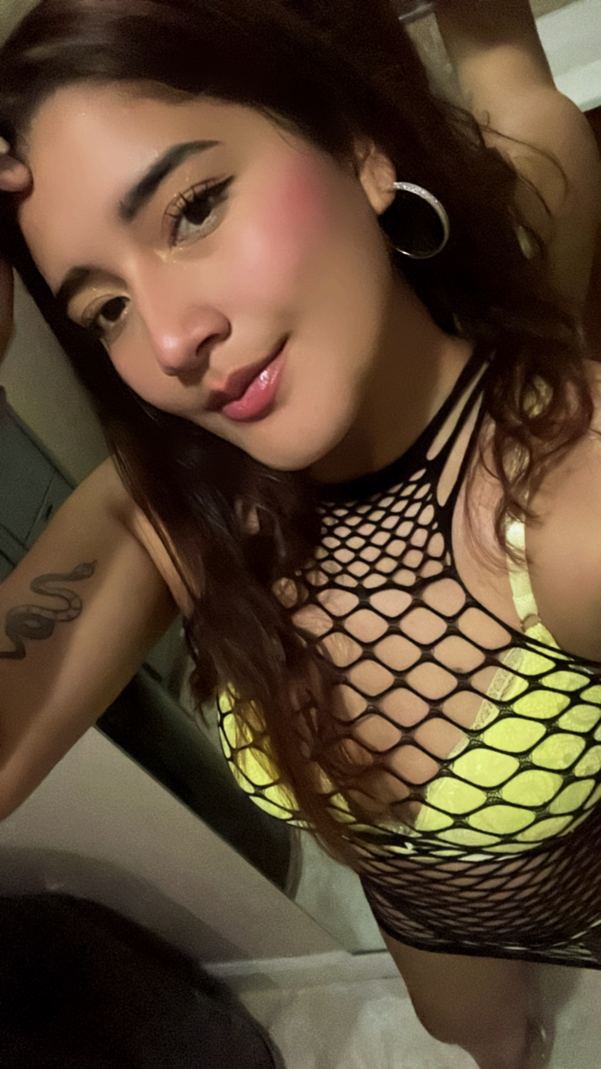 Perla profile