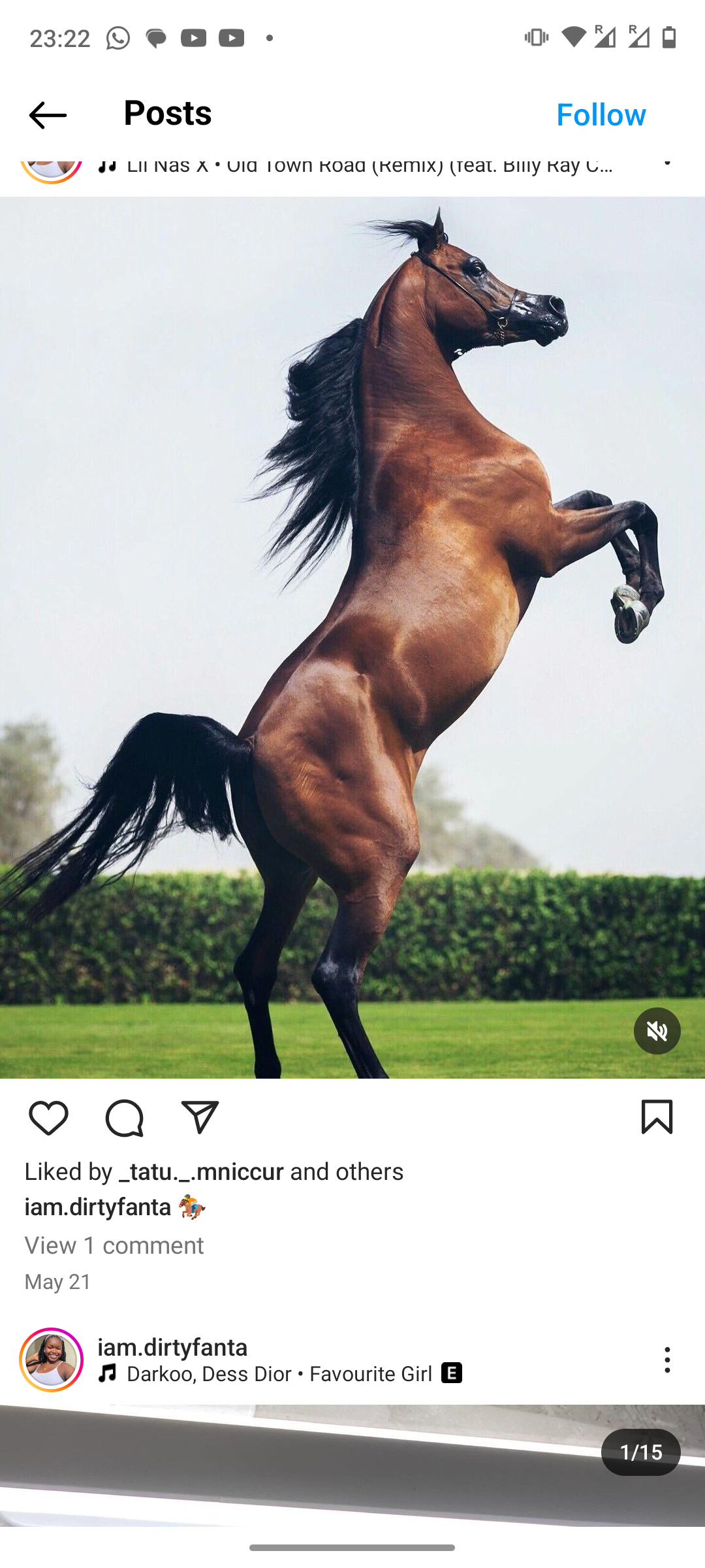 Sweet199 profile
