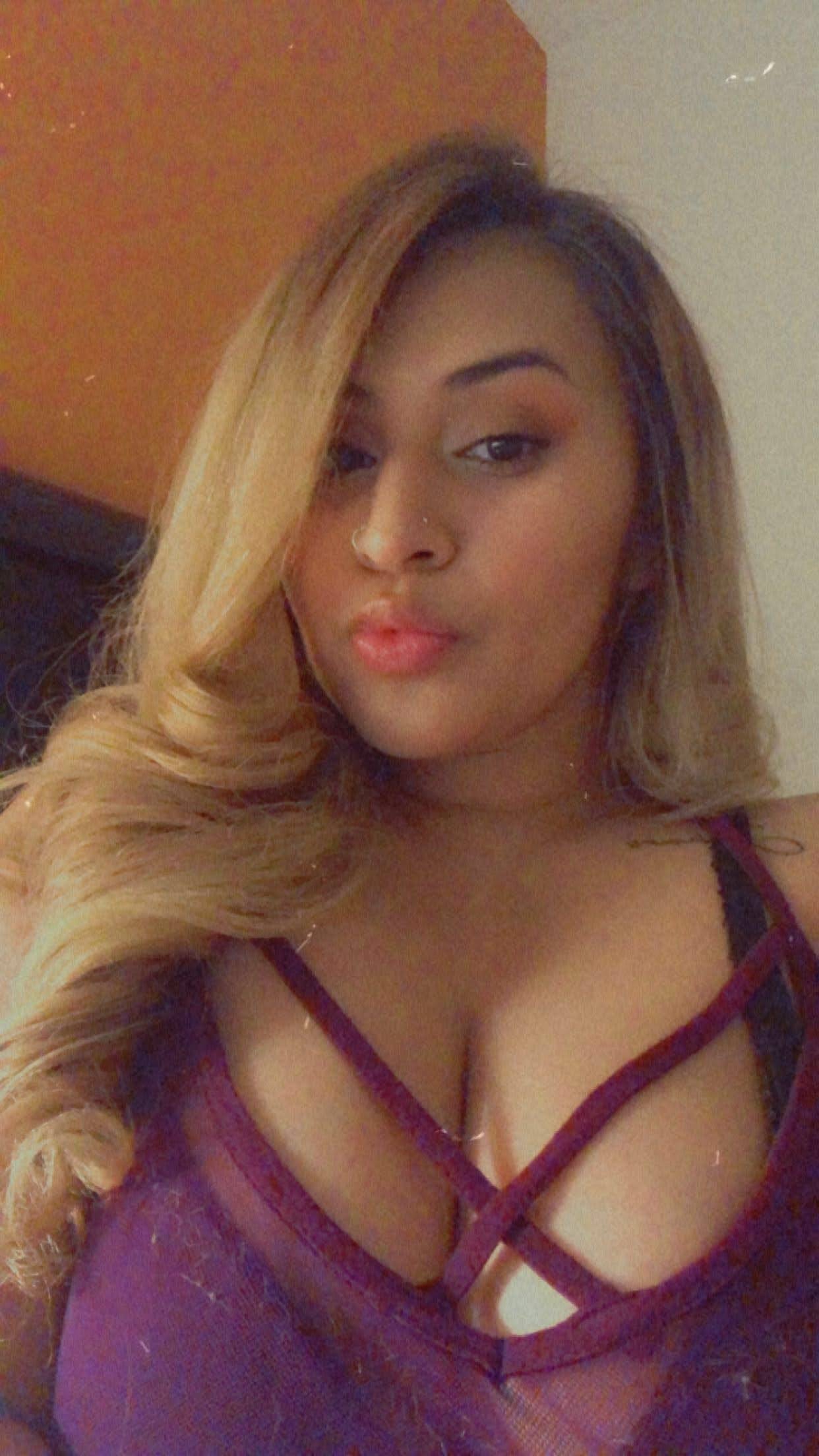 Cynnsantana profile