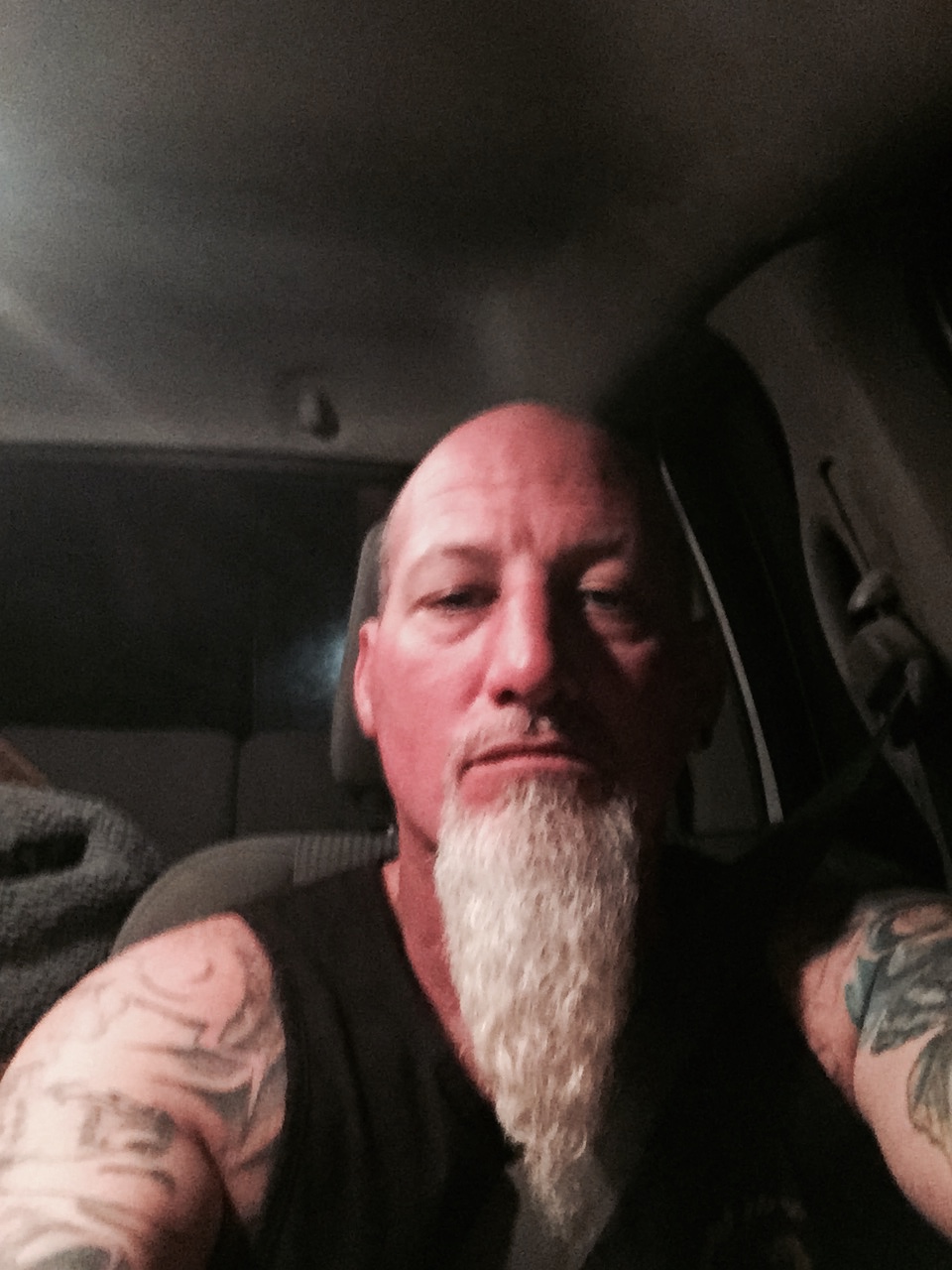 Manimal profile