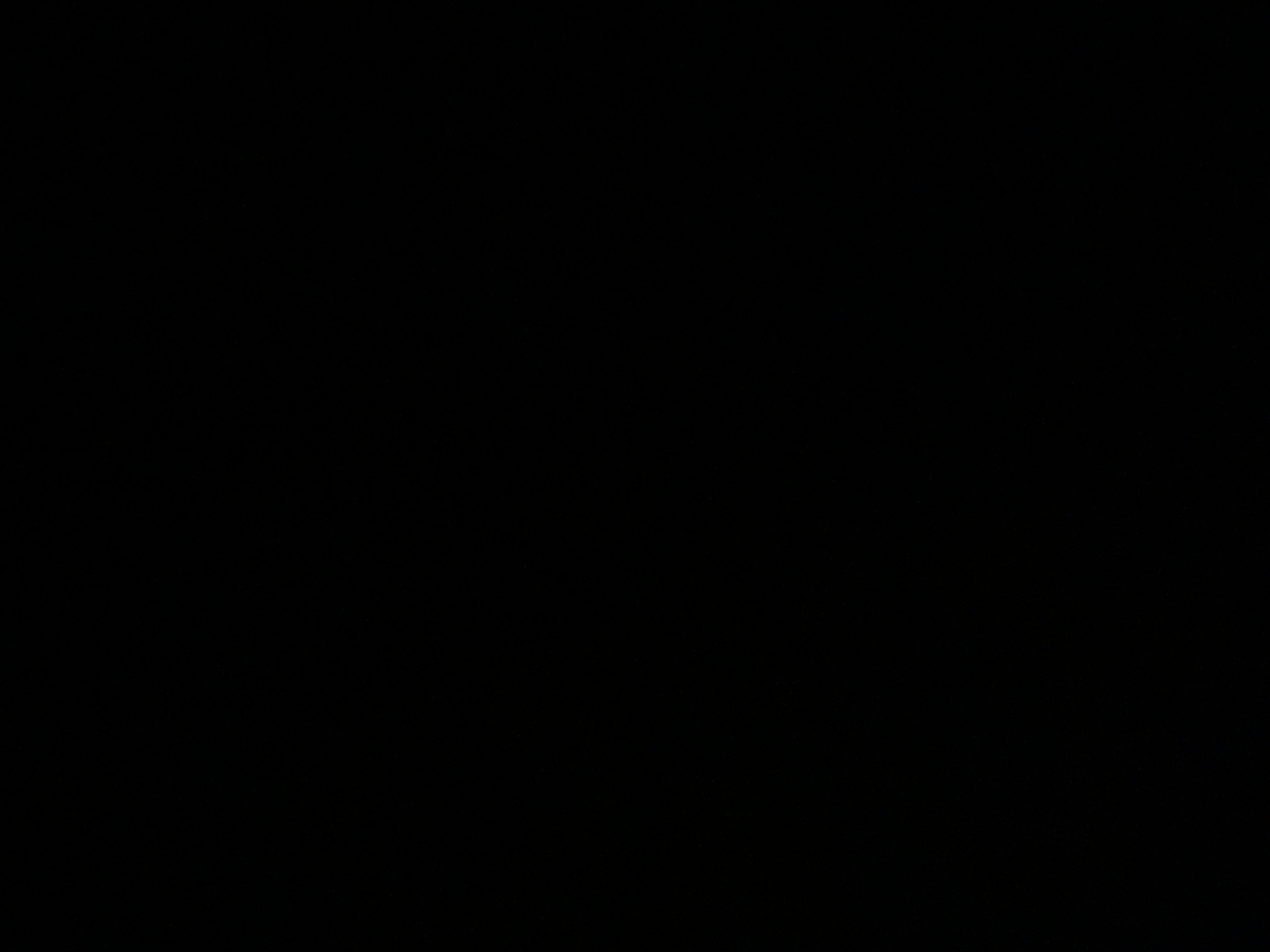 Dee19 profile