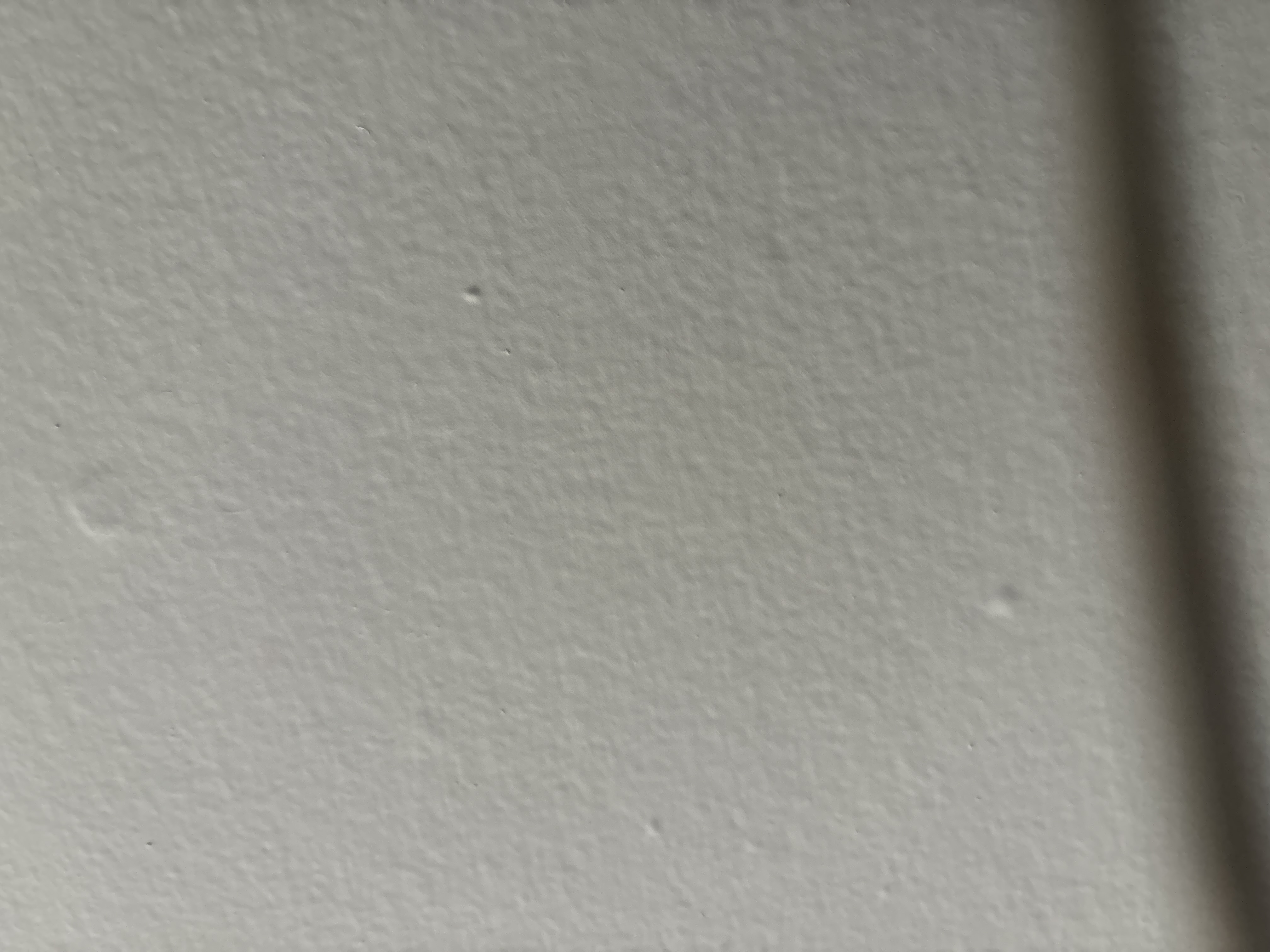 Joeey profile