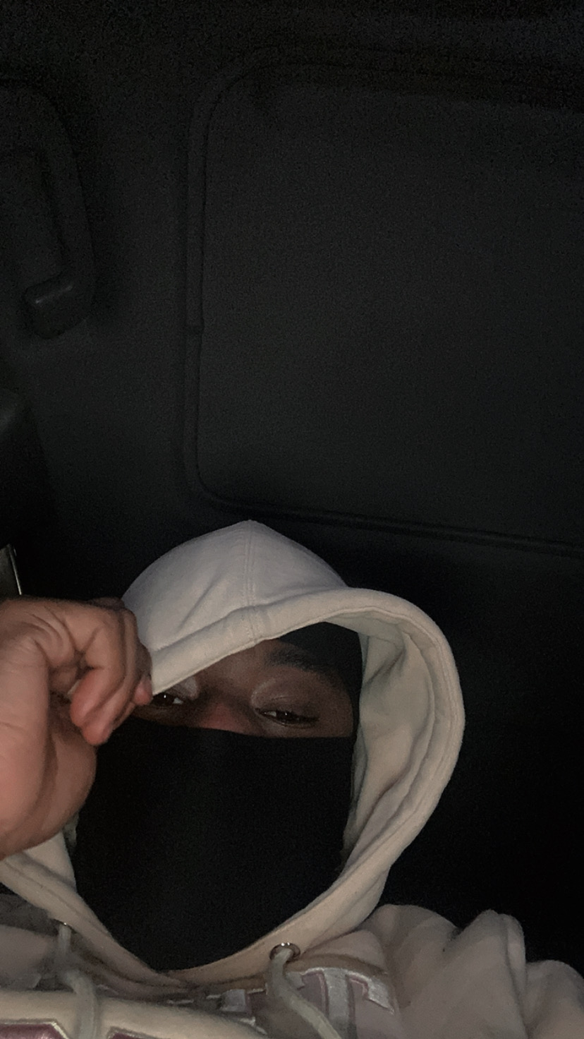 Bandzupdan profile