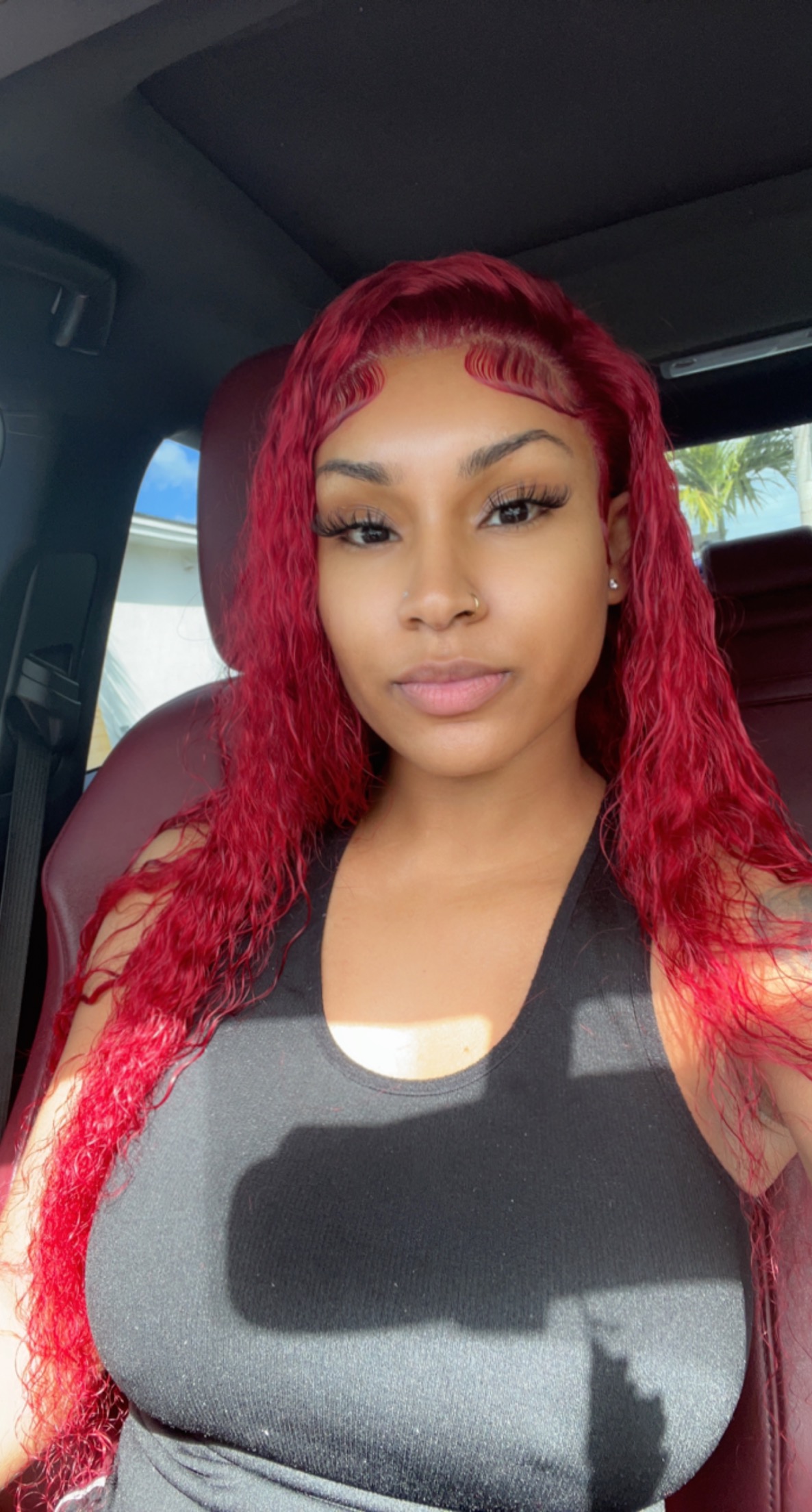 Koolie profile